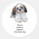 Search for shih tzu stickers Shitzu