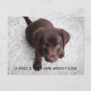 Search for dog quotes postcards Pets