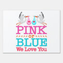 Search for gender reveal outdoor signs Pregnancy