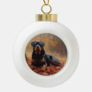 Search for rottweiler ornaments Pet