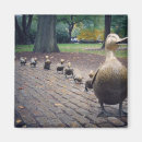 Search for make way for ducklings Boston