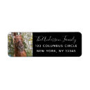 Search for horse labels Modern