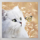 Search for furry posters Cuddly