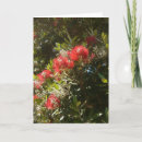 Search for new zealand christmas cards Tree