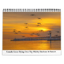 Search for duck calendars Owls