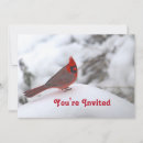 Search for snow birthday invitations Outdoors