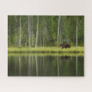 Search for finland puzzles Lake