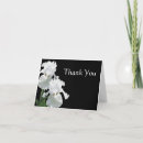 Search for white flowers sympathy thank you cards Black