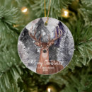 Search for deer ornaments Watercolor