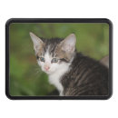 Search for cat trailer hitch covers Black