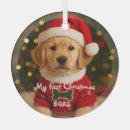 Search for golden retriever ornaments Puppy