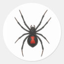 Search for black widow spider stickers Nature