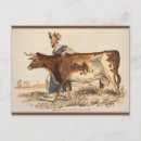 Search for cow postcards Cattle