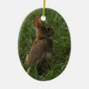 Search for rabbit ornaments Farm