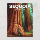 Search for sequoia national park postcards Nature