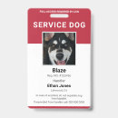 Search for service dog badges Simple