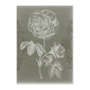 Search for acrylic art Botanical