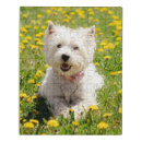 Search for westie puzzles Animal