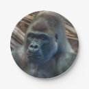 Search for gorilla paper plates Party