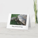 Search for turtle birthday cards Slow