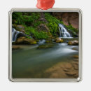 Search for zion national park ornaments Nature