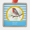 Search for robin ornaments Animal