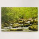 Search for tennessee puzzles Superstock