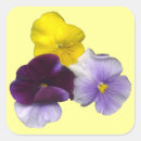 Search for pansy flower stickers Lavender