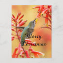 Search for hummingbird christmas cards Wildlife