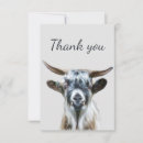 Search for goat thank you cards Farm