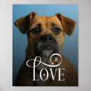 Search for dog posters Modern