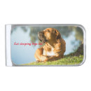 Search for boerboel Pet