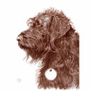 Search for dog photo statuettes Labradoodle