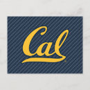 Search for university of california berkeley postcards The big c