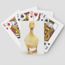 Search for duck playing cards Nature