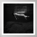 Search for black and white mermaid art Swimming
