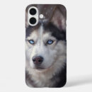 Search for husky iphone cases Winter