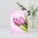 Search for happy birthday tulips postcards Floral
