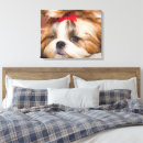 Search for pet supplies Animal