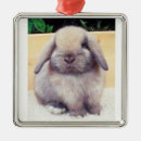 Search for lop rabbit ornaments Easter