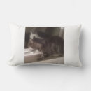 Search for sofa pillows Pets