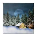 Search for cabin tiles Rustic