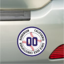 Search for baseball magnets Team