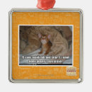 Search for bed ornaments I can has cheezburger