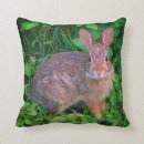 Search for bunny pillows nature