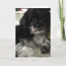 Search for i love my husband cards Boyfriend