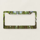 Search for national forest license plates Nature