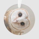 Search for owl ornaments Cute