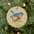 Search for bluebird ornaments Vintage