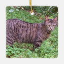 Search for brown tabby cat ornaments Kitty